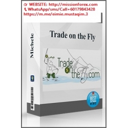 Michele - Trade on the Fly complete full course
